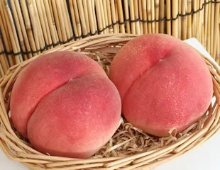 まどかの図版イメージ（品種写真ではありません）