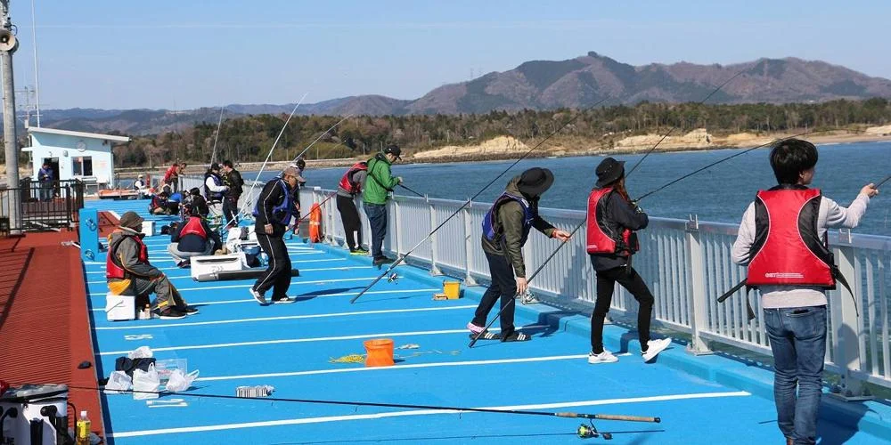 新地町海釣り公園紹介用イラスト(実景写真ではありません)