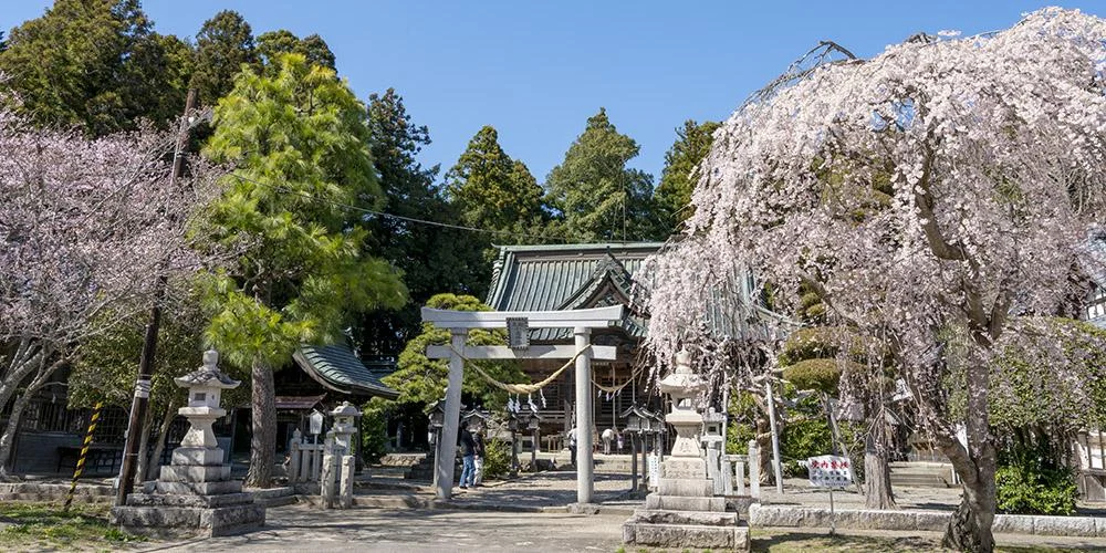 相馬小高神社紹介用イラスト(実景写真ではありません)